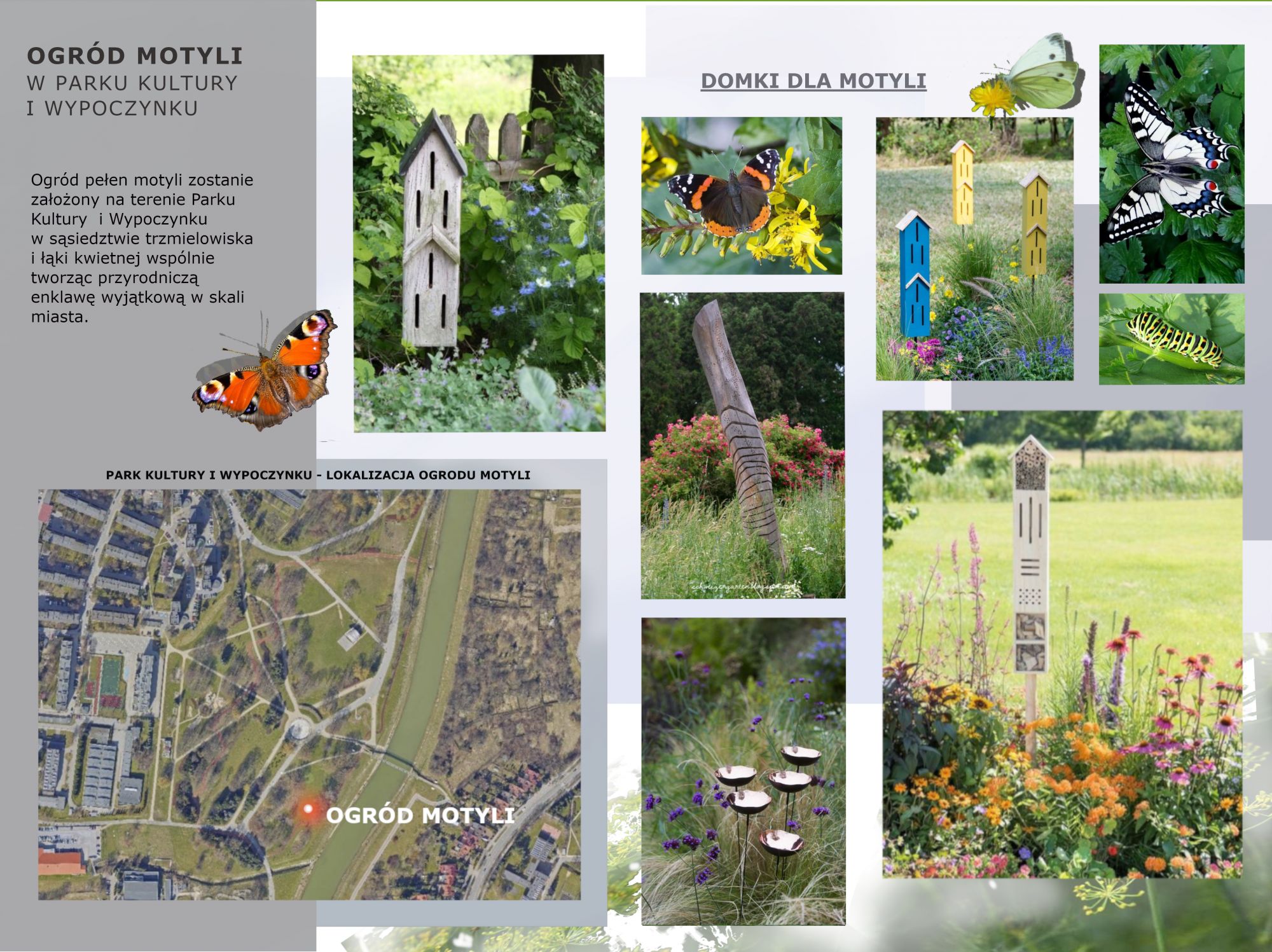 wizualizacja projektu - Ogr&oacute;d Motyli